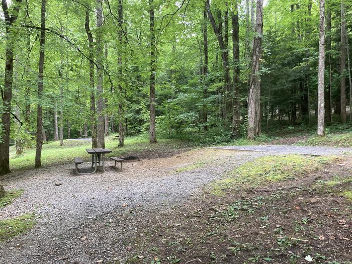 A photo of Site A30 of Loop A-Loop at COSBY CAMPGROUND with Picnic Table, Fire Pit, Tent PadOverview of A30