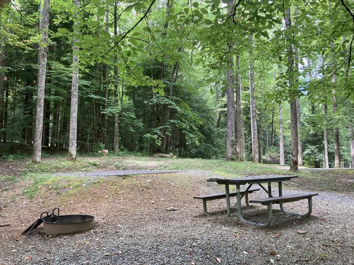 A photo of Site A30 of Loop A-Loop at COSBY CAMPGROUND with Picnic Table, Fire Pit, Tent PadA30