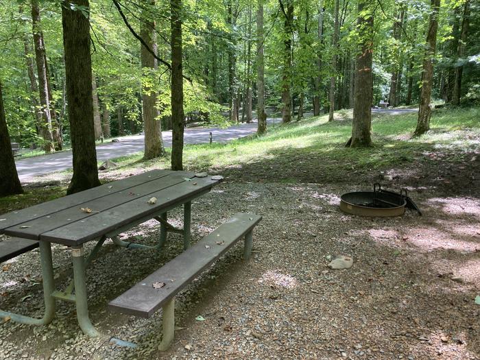 A photo of Site A30 of Loop A-Loop at COSBY CAMPGROUND with Picnic Table, Fire PitPicnic area