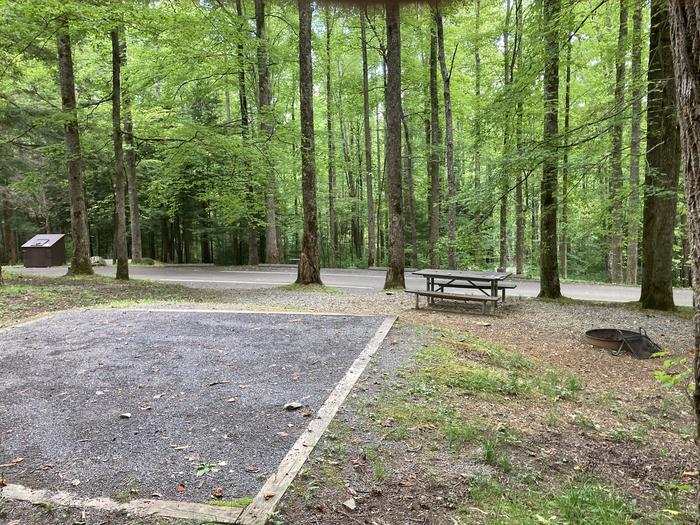 A photo of Site A30 of Loop A-Loop at COSBY CAMPGROUND with Picnic Table,  Fire Pit, behind Tent PadView behind tent pad