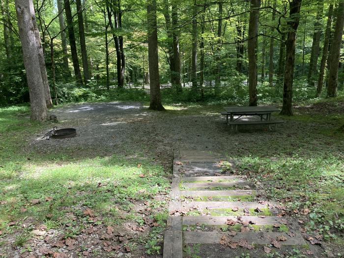 A photo of Site A53 of Loop A-Loop at COSBY CAMPGROUND with Picnic Table, Fire Pit, Tent Pad from stairs A53 with the stairs that lead down