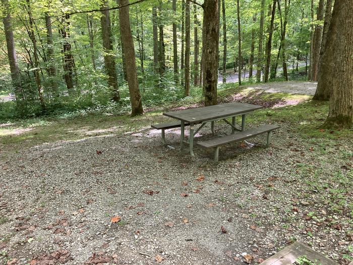 A photo of Site A53 of Loop A-Loop at COSBY CAMPGROUND with Picnic TablePicnic Table