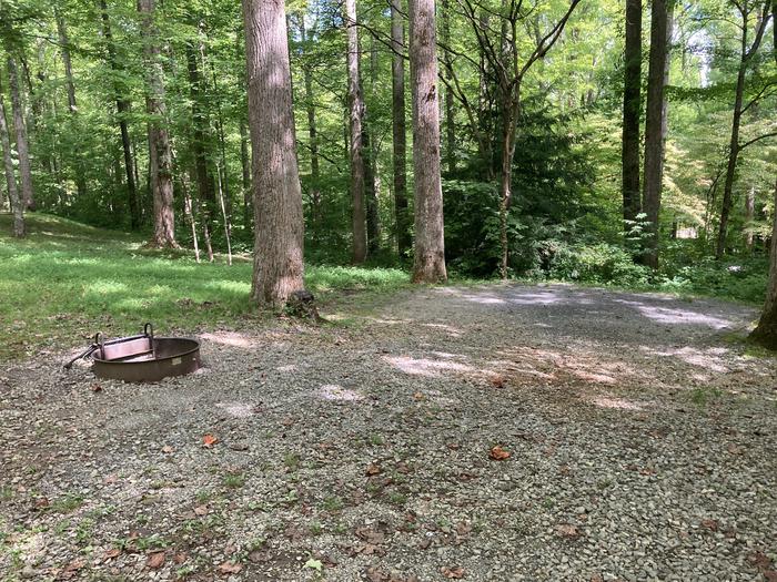 A photo of Site A53 of Loop A-Loop at COSBY CAMPGROUND with Fire Pit, Tent PadFire pit and tent pad