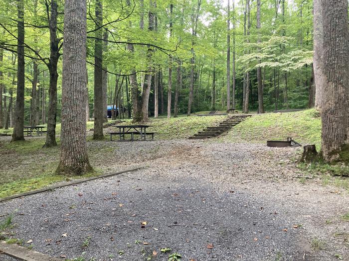 A photo of Site A53 of Loop A-Loop at COSBY CAMPGROUND with Picnic Table, Fire Pit, Tent PadView from behind the tent pad