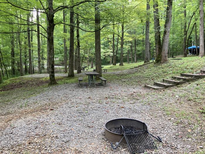 A photo of Site A53 of Loop A-Loop at COSBY CAMPGROUND with Picnic Table, Fire PitPicnic area