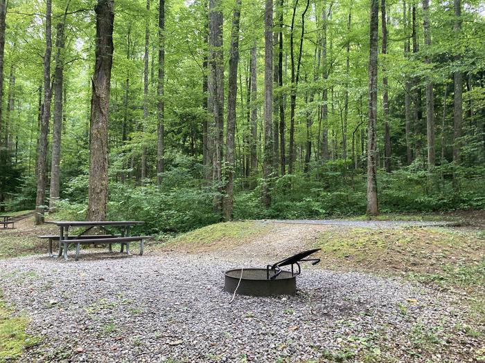 A photo of Site A52 of Loop A-Loop at COSBY CAMPGROUND with Picnic Table, behind Fire Pit, Tent Pad View from behind the fire pit