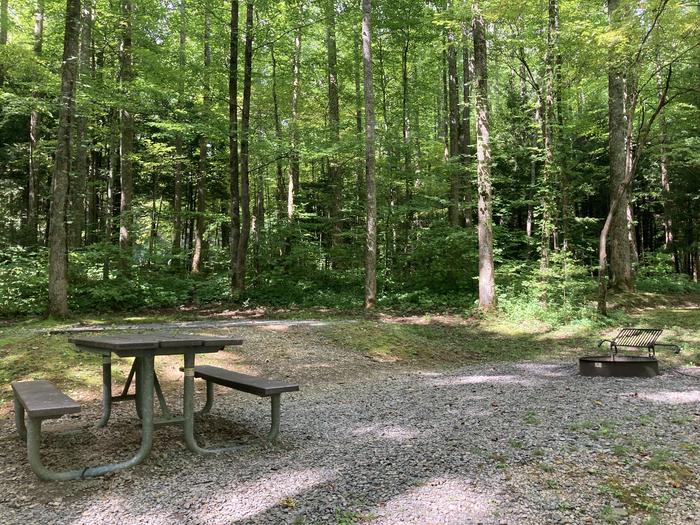 A photo of Site A52 of Loop A-Loop at COSBY CAMPGROUND with Picnic Table, Fire Pit, Tent PadSite overview 