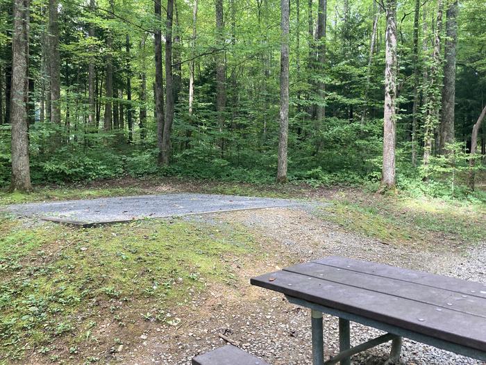 A photo of Site A52 of Loop A-Loop at COSBY CAMPGROUND with Picnic Table, Tent PadTent pad and Picnic table