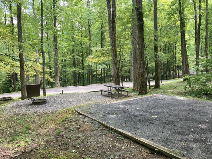 A photo of Site A52 of Loop A-Loop at COSBY CAMPGROUND with Picnic Table, Fire Pit, Tent Pad A 52A52