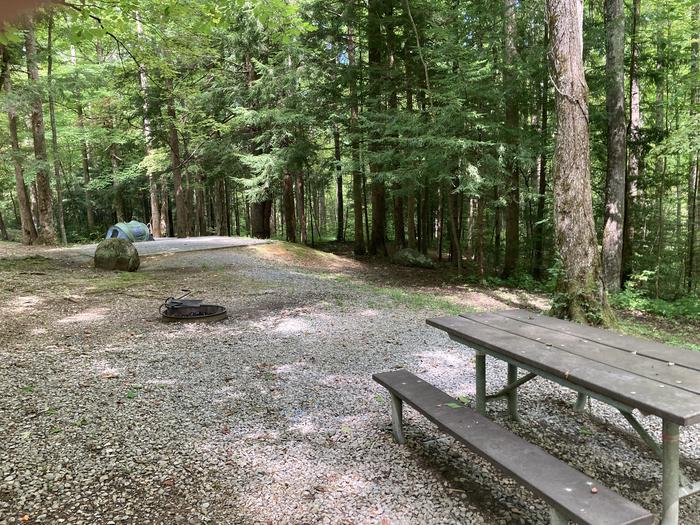 A photo of Site A29 of Loop A-Loop at COSBY CAMPGROUND with Picnic Table, Fire Pit, Tent PadPicnic area