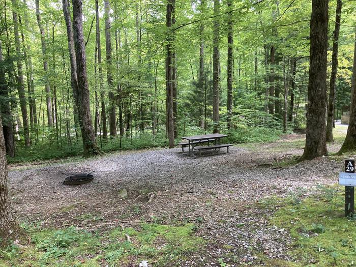 A photo of Site A29 of Loop A-Loop at COSBY CAMPGROUND with Picnic Table, Fire PitA29