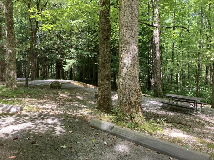 A photo of Site A29 of Loop A-Loop at COSBY CAMPGROUND with Picnic Table, Fire Pit, Tent PadStreet view 
