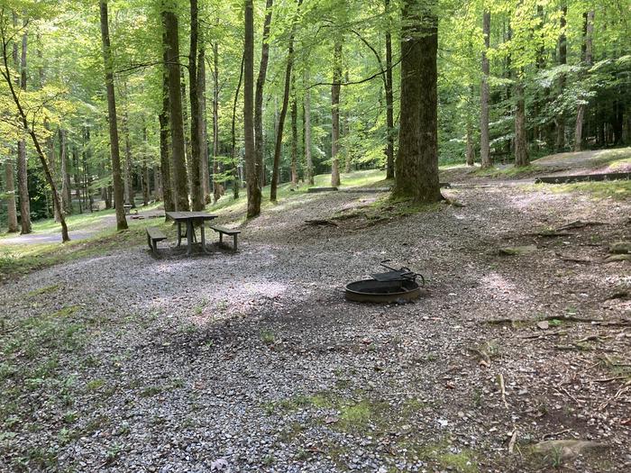 A photo of Site A29 of Loop A-Loop at COSBY CAMPGROUND with Picnic Table, Fire Pit tent pad view A29