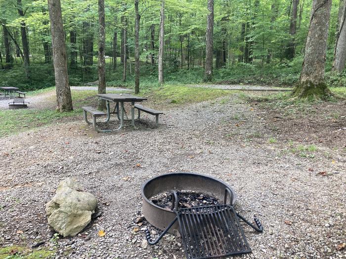 A photo of Site A47 of Loop A-Loop at COSBY CAMPGROUND with Picnic Table, Fire PitPicnic area