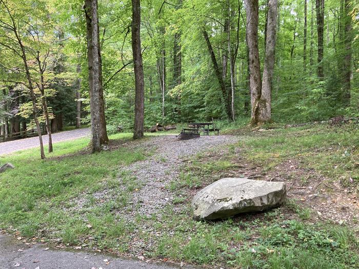 A photo of Site A39 of Loop A-Loop at COSBY CAMPGROUND with Picnic Table, Fire Pit, Tent Pad street view 