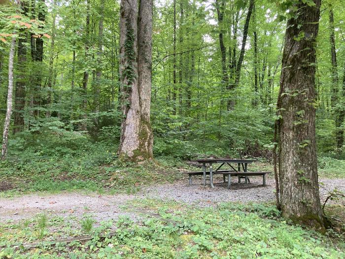 A photo of Site A39 of Loop A-Loop at COSBY CAMPGROUND with Picnic Table