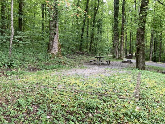 A photo of Site A39 of Loop A-Loop at COSBY CAMPGROUND with Picnic Table, Tent PadView from behind the tent pad
