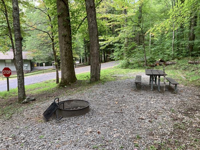 A photo of Site A39 of Loop A-Loop at COSBY CAMPGROUND with Picnic Table, Fire PitPicnic area