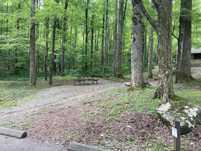 A photo of Site A47 of Loop A-Loop at COSBY CAMPGROUND with Picnic TableSide view 