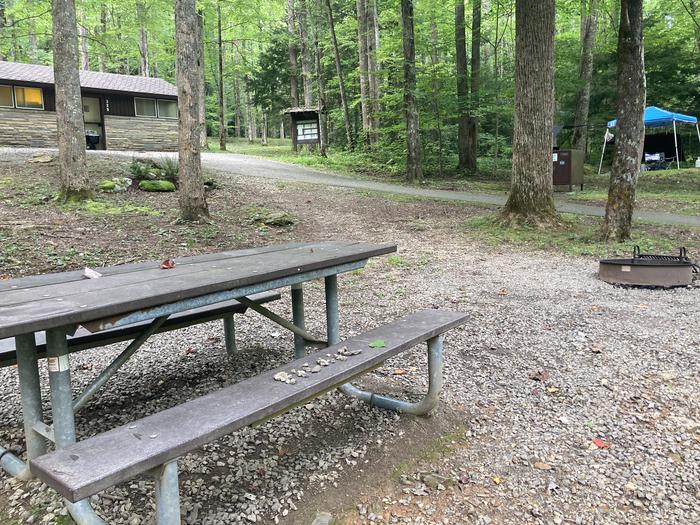 A photo of Site A47 of Loop A-Loop at COSBY CAMPGROUND with Picnic Table, Fire PitA47