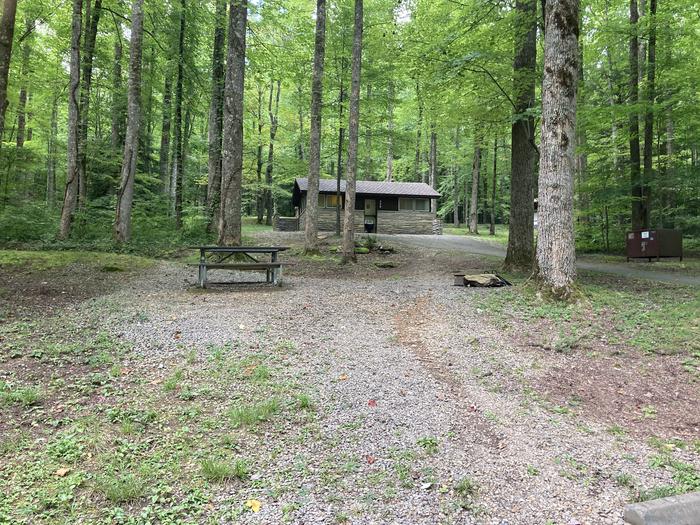 A photo of Site A47 of Loop A-Loop at COSBY CAMPGROUND with Picnic Table, Fire Pit street view Street view