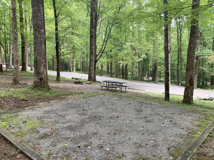 A photo of Site A47 of Loop A-Loop at COSBY CAMPGROUND with Picnic Table, Fire Pit, Tent PadBehind tent pad