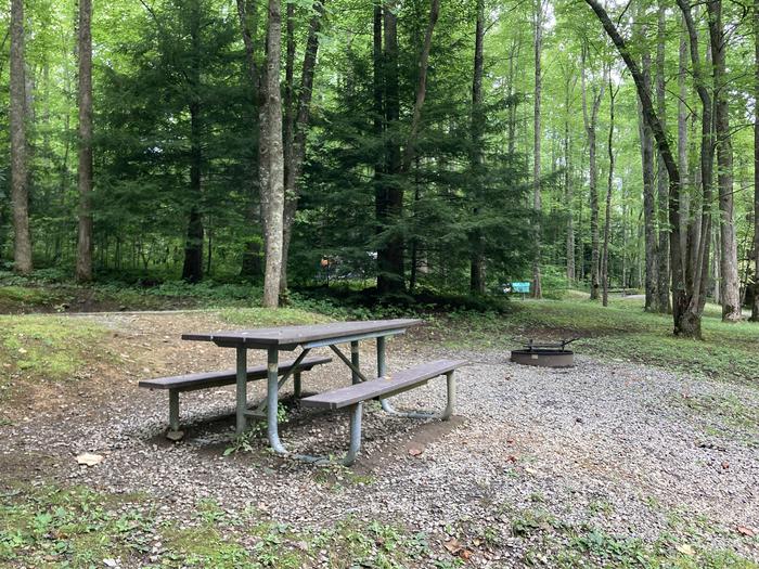 A photo of Site A48 of Loop A-Loop at COSBY CAMPGROUND with Picnic Table, Tent PadSide view