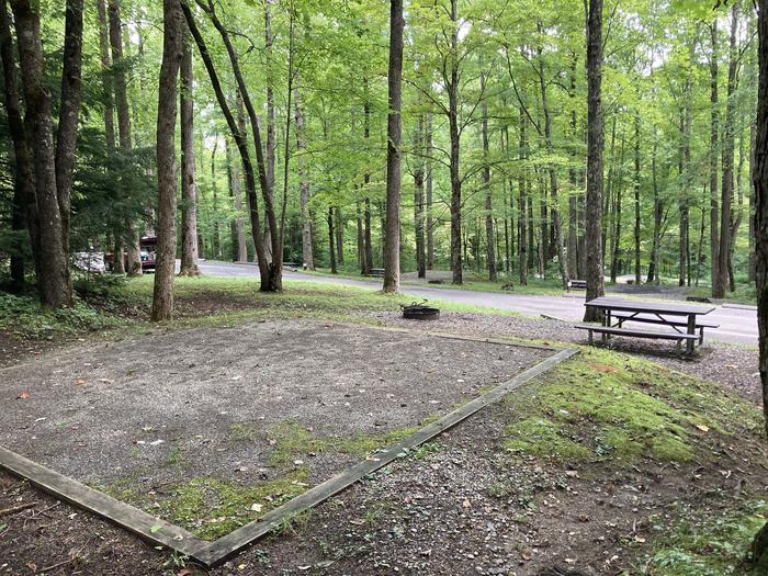 A photo of Site A48 of Loop A-Loop at COSBY CAMPGROUND with Picnic Table, Fire Pit, Tent Pad behind side Alt. behind view 