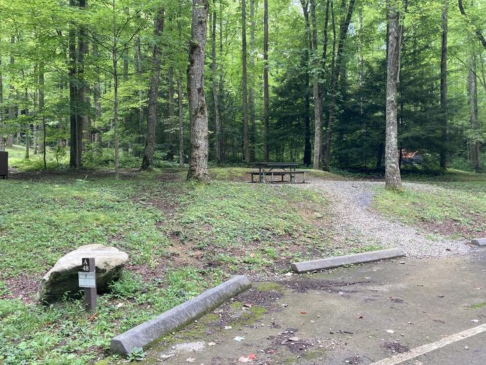 A photo of Site A48 of Loop A-Loop at COSBY CAMPGROUND with Picnic Table, Fire Pit, Tent PadStreet view