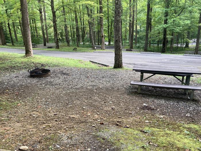 A photo of Site A48 of Loop A-Loop at COSBY CAMPGROUND with Picnic Table, Fire PitPicnicking area
