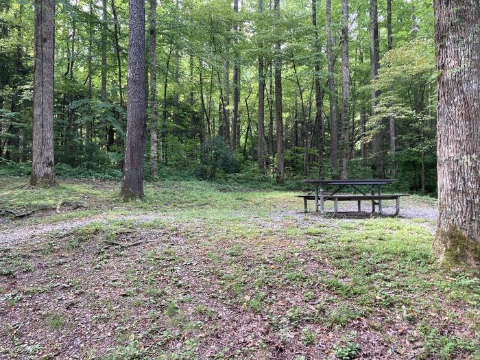 A photo of Site A58 of Loop A-Loop at COSBY CAMPGROUND with Picnic TableSide street view 