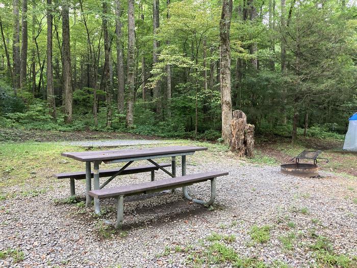 A photo of Site A58 of Loop A-Loop at COSBY CAMPGROUND with Picnic Table, Fire Pit, Tent PadPicnic area