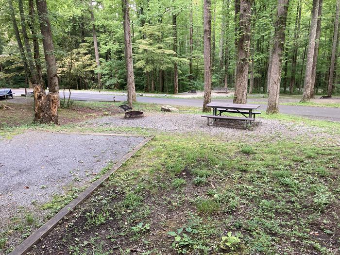 A photo of Site A58 of Loop A-Loop at COSBY CAMPGROUND with Picnic Table, Fire Pit, Tent PadA58
