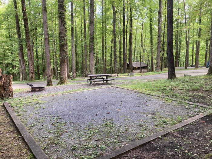 A photo of Site A58 of Loop A-Loop at COSBY CAMPGROUND with Picnic Table, Fire Pit, Tent PadView from behind the tent pad