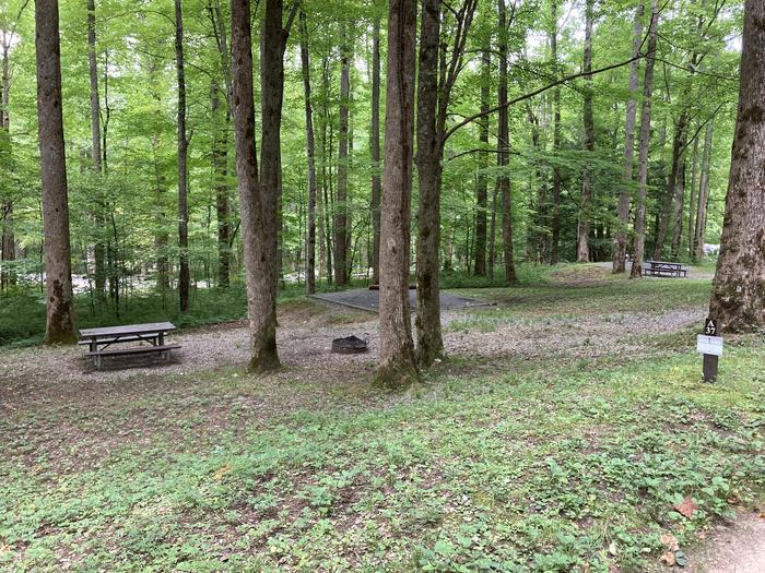 A photo of Site A37 of Loop A-Loop at COSBY CAMPGROUND with Picnic Table, Fire Pit, Tent PadStreet view 