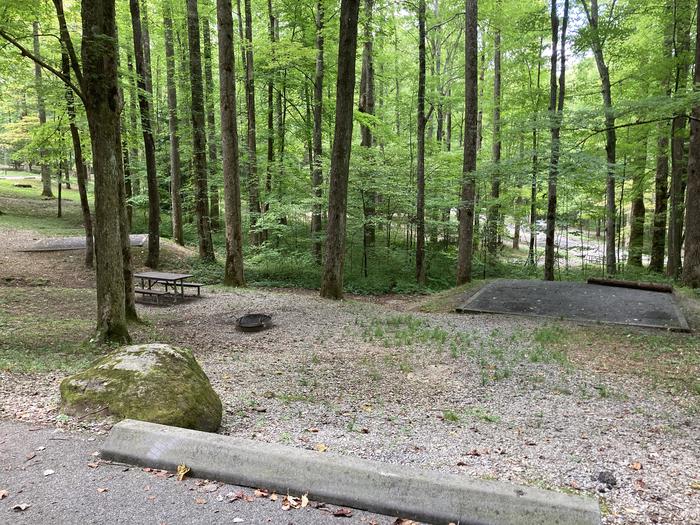 A photo of Site A37 of Loop A-Loop at COSBY CAMPGROUND with Picnic Table, Tent PadA37