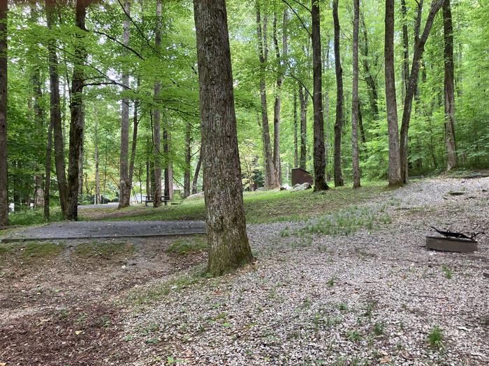 A photo of Site A37 of Loop A-Loop at COSBY CAMPGROUND with Fire Pit, Tent Pad