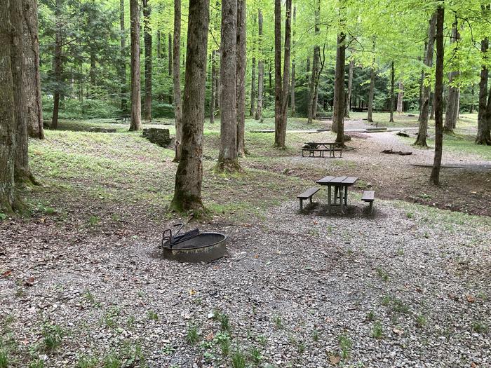 A photo of Site A37 of Loop A-Loop at COSBY CAMPGROUND with Picnic Table, Fire Pit