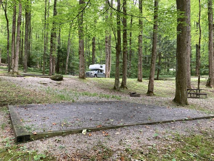 A photo of Site A37 of Loop A-Loop at COSBY CAMPGROUND with Tent PadView from behind the tent pad