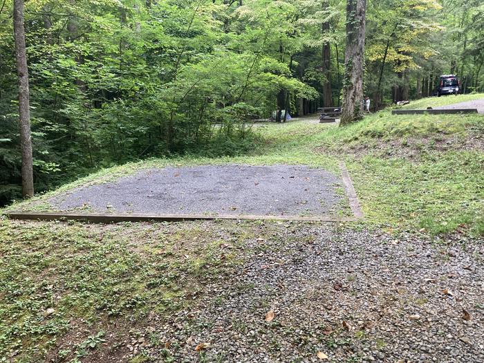 A photo of Site A24 of Loop A-Loop at COSBY CAMPGROUND with Tent Pad