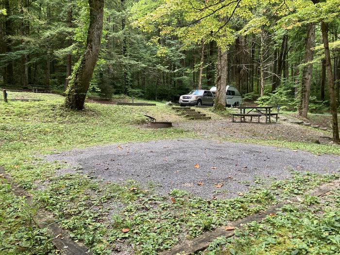 A photo of Site A24 of Loop A-Loop at COSBY CAMPGROUND with Picnic Table, Fire Pit, behind Tent PadBehind tent pad