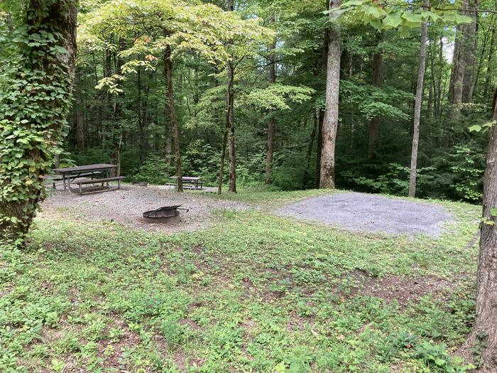 A photo of Site A24 of Loop A-Loop at COSBY CAMPGROUND with Picnic Table, Fire Pit, Tent PadSide view with A22 picnic table in the background
