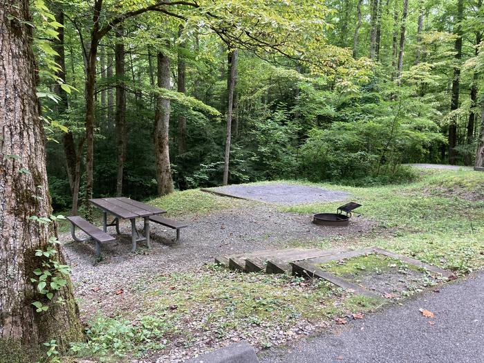 A photo of Site A24 of Loop A-Loop at COSBY CAMPGROUND with Picnic Table, Fire Pit, Tent PadStreet view 