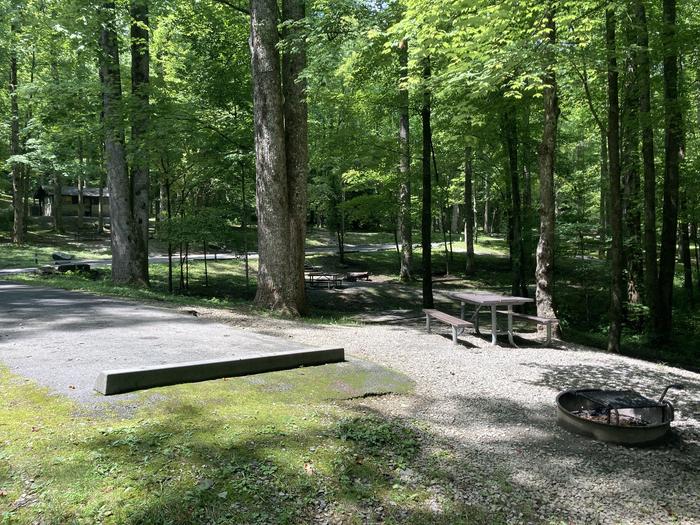 A photo of Site A42 of Loop A-Loop at COSBY CAMPGROUND with Picnic Table, Fire Pit, Tent Pad from behind Side view 
