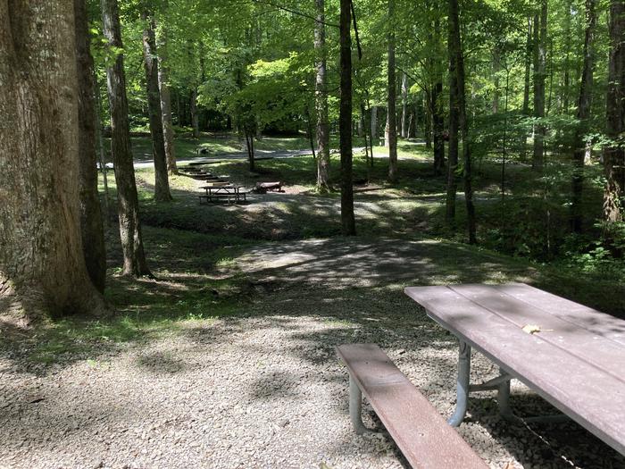 A photo of Site A42 of Loop A-Loop at COSBY CAMPGROUND with Picnic Table, Tent PadView of the Tent pad, which is down below 