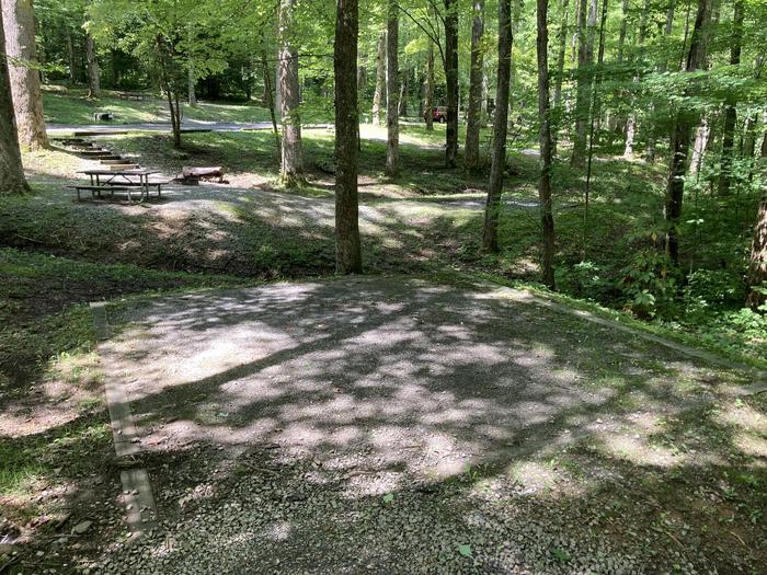 A photo of Site A42 of Loop A-Loop at COSBY CAMPGROUND with Tent Pad close up