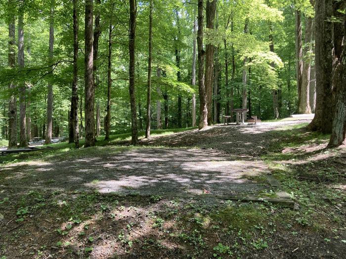 A photo of Site A42 of Loop A-Loop at COSBY CAMPGROUND behind Tent Pad