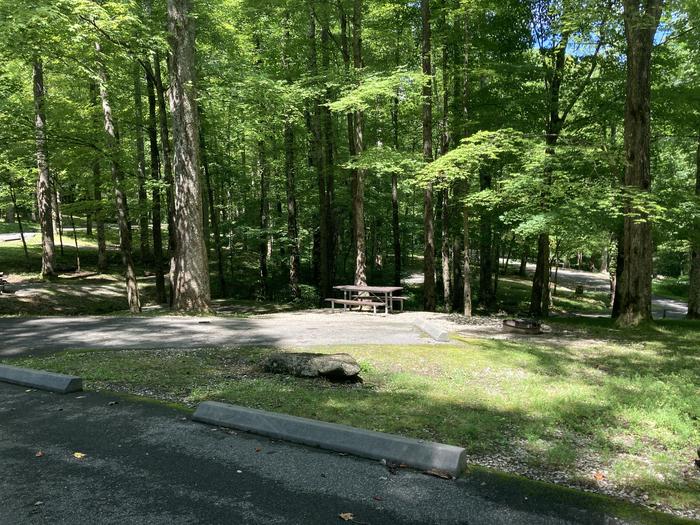 A photo of Site A42 of Loop A-Loop at COSBY CAMPGROUND with Picnic Table, Fire Pit from road