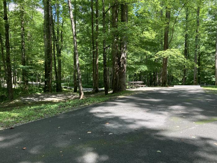 A photo of Site A42 of Loop A-Loop at COSBY CAMPGROUND with Picnic Table, Fire Pit, Tent Pad RV parking Overview with the tent pad to the left
