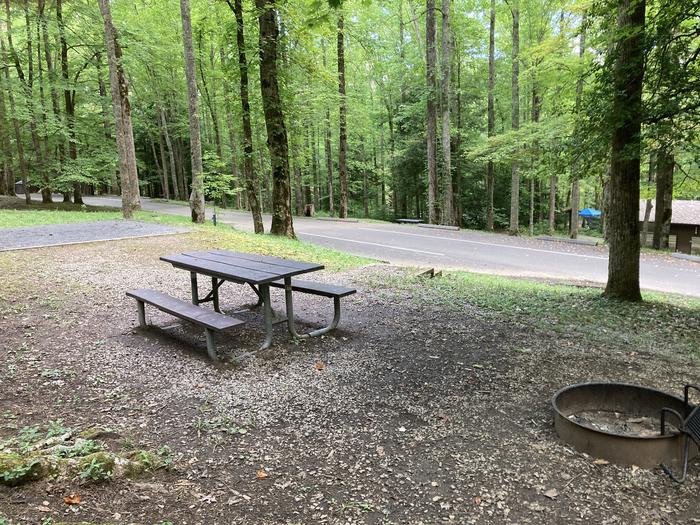 A photo of Site A32 of Loop A-Loop at COSBY CAMPGROUND with Picnic Table, Fire Picnicking area